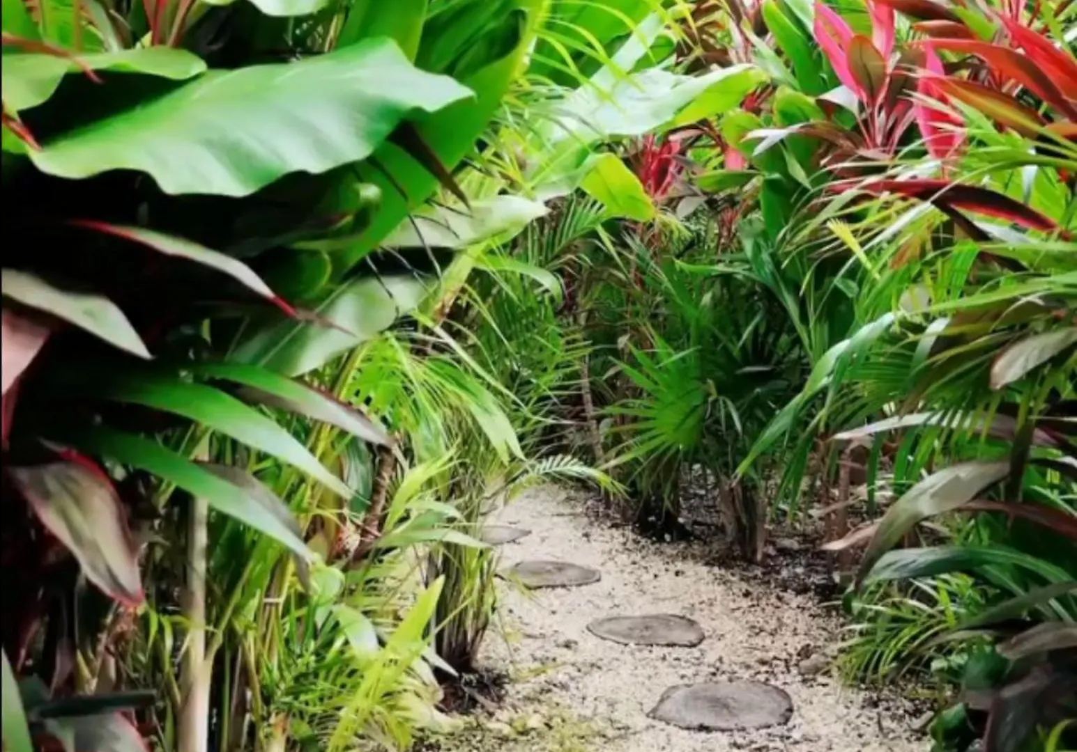 Ixmali, Jungle Studio Avec Vue Proche De La Plage Tulum Meksika